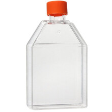 Tissue Culture Flask, Vented Cover, TC Treated, No Enzyme 75cm²