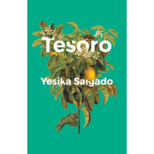 Tesoro by Yesika Salgado Paperback Book