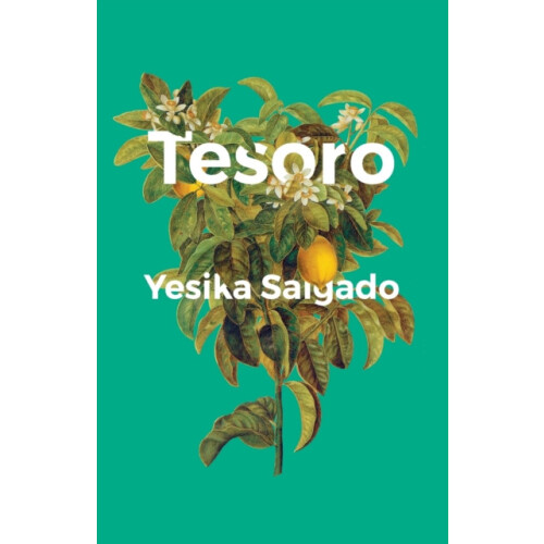 Tesoro by Yesika Salgado Paperback Book