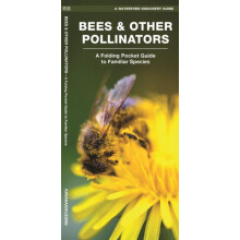 Bees Other Pollinators by James Kavanagh Paperback Book