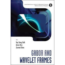 GABOR WAVELET FRAMES V10 by GOH SAY SONG Hardcover Book
