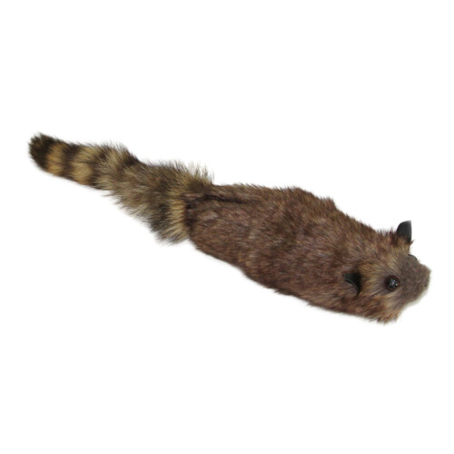 Raton laveur en peluche classique pour poupée, accessoires 2