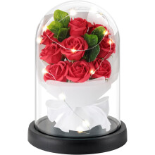 Ewige Rose LED-Lampe im Glas, leuchtende Geschenkidee für Frauen – wunderschöne rote — ewige rose lampe