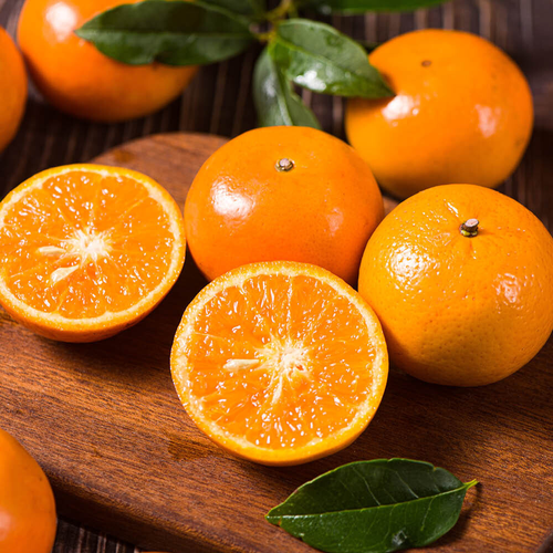 Citrus Satsuma?4L 70-90cm 2
