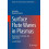 Surface Flute Waves in Plasmas Eigenwaves Excitation and Applications 1