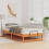 VidaXL vidaXL Bed Frame Brown 80 x 220 cm Solid Pine Wood 3