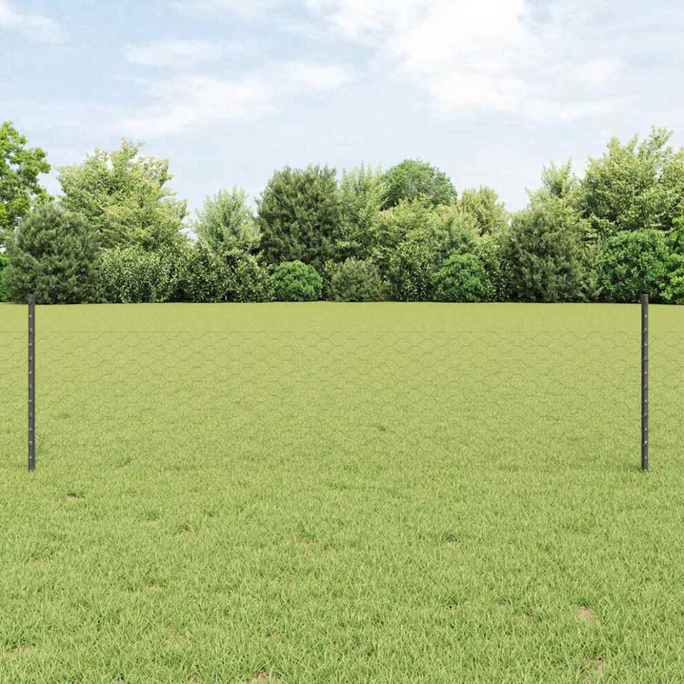 Vidaxl Welded Wire Fence 100 X 0.5 M (W X H) Pvc-Coated Steel Grey
