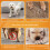 Chaussettes d'ajustement pour chien, chaussons élastiques-M 3