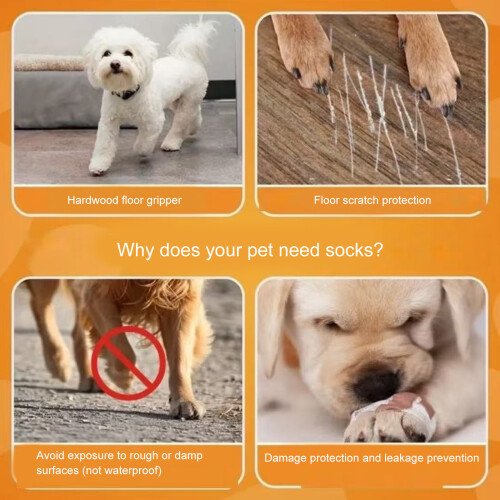 Chaussettes d'ajustement pour chien, chaussons élastiques-M 2