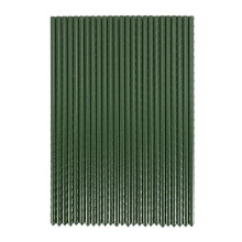 25 Pack Garden Stakes Metal Plastic Coated Plant Cage Supports Climbing for Tomatoes,Trees,Cucumber,Fences,Beans,40cm