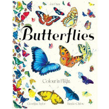 Butterflies by Jon Dunn Hardcover Book