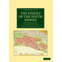 The Fossils of the South Downs Or Illustrations of the Geology of Suss