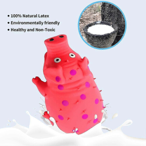 Squeaky Pig Hundleksaker, Som Oinkar Grunts, Slitstarka Leksaker 2