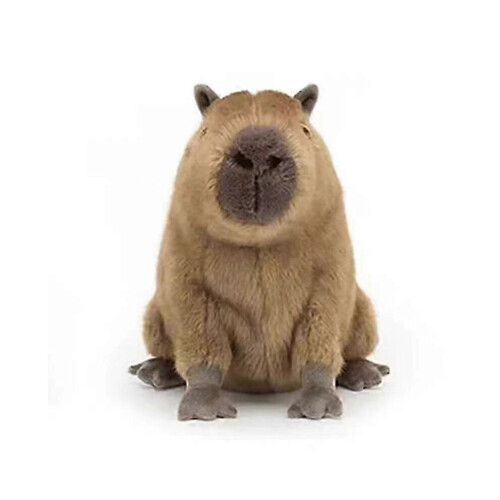 Kapybara plysch, gosedjur, presenter till barn, 40 cm 1