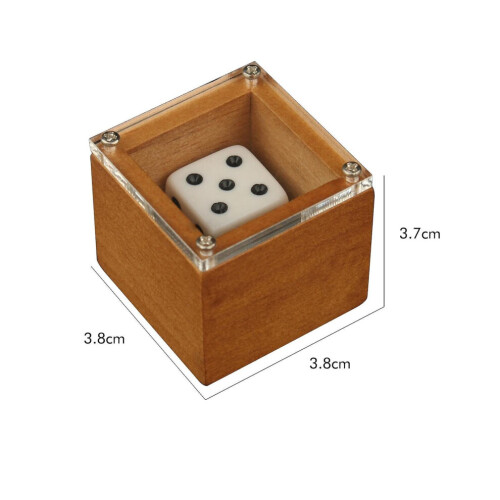Magic Dice Magic Props Dice Trick Dot Number Change Dice Magic Stage Illusion Props 1
