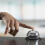 Restaurangservice Bell Hotelldisk Bell Ring Reception Samtal Bardisk Hotell 3