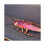 Vivid 3d Simulation Cockroach Plush Cushion Prank Props Insect Nap Toy 2