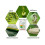 Bacillus Thuringiensis Vegetable Fruit Tree Biopesticide Insecticide 1
