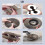 Magic Organ Cat Scratching Board, Interactive Cat Scratching Toy, Cat Grinding Claw Scratching Board 2