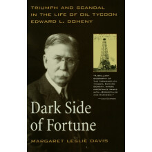 Dark Side of Fortune by Margaret Leslie Davis Paperback Book