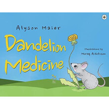 Dandelion Medicine by Alyson Maier Paperback Book