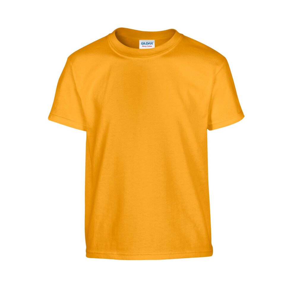 Gildan (3-4 Years, Gold) Childrens/Kids Plain Cotton Heavy T-Shirt
