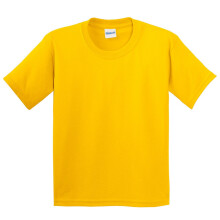(XL, Daisy) Gildan Childrens Unisex Soft Style T-Shirt (Pack Of 2)