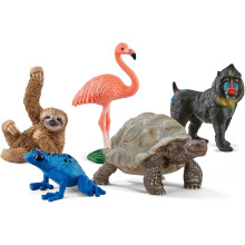 Schleich Wild Life - 5PC Exotic Animal Starter Playset Figurine Bundle-With Flamingo, Sloth, Frog, Giant Tortoise and Monkey Figures-Ages 5+ | 77590
