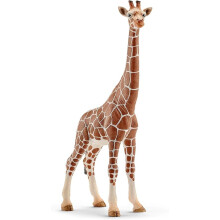 schleich Wild Life - Realistic 7" Giraffe Animal Toy - Durable Giraffe Figurine for Educational - African Safari Wildlife Rescue - 3+ | 14750