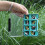 (Green 8 grids) Multicolor Shock Resistant Tackle Box for Lures 2 Magnetic Locking Framework Top Compartment 2
