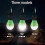 (Black) LED Lantern 4-Pack Schwarz wasserdicht Hell mit Haken für Wanderfischer Parteien 4