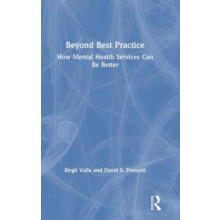 Beyond Best Practice How Mental Health Services Can Be Better by Birgi