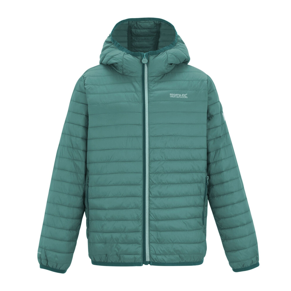 Regatta (11-12 Years, Ivy Moss) Childrens/Kids Hillpack Hooded Jacket