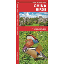 China Birds by James Kavanagh Paperback Book