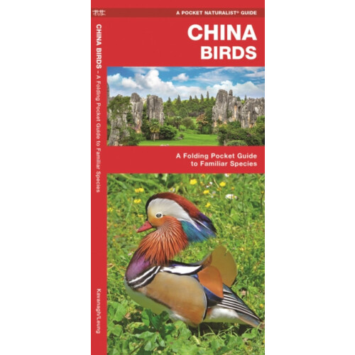 China Birds by James Kavanagh Paperback Book