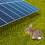 Solar Panel Bird Guard PVC Coated Wire Mesh (1.27*1.27cm) 2