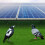 Solar Panel Bird Guard PVC Coated Wire Mesh (1.27*1.27cm) 3