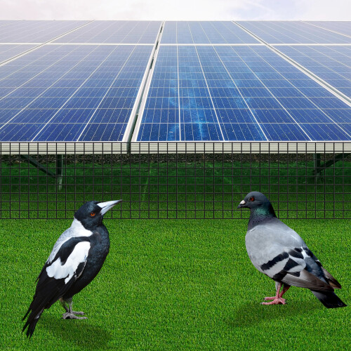 Solar Panel Bird Guard PVC Coated Wire Mesh (1.27*1.27cm) 2