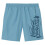 Lacoste (S, Blue) Lacoste Mens Logo Swimming Trunks 1