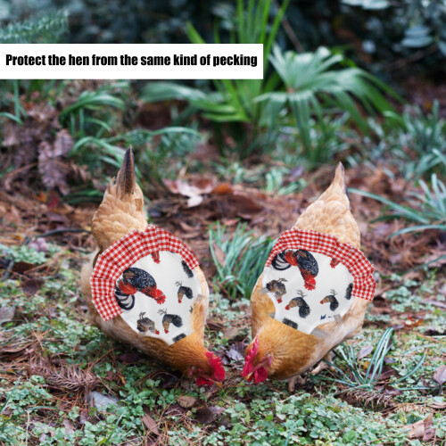 2x Huhn Schürze Feder Protector Wärme 2