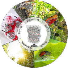 (XS 80x80cm) 4pcs Garden Insect & Bird Netting with Drawstring for Pest Barrier & Bushes Protection