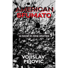 American Sfumato by Vojislav Pejovi Paperback Book