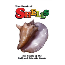 Handbook of Shells Sea Shells of the Gulf and Atlantic Coasts by Lula