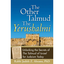 The Other TalmudThe Yerushalmi Unlocking the Secrets of The Talmud of