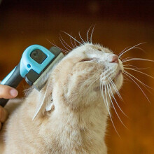 (M, Blue) Pet Dog Hair Removal Combing Cat Grooming Tool