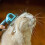 (S, Blue) Pet Dog Hair Removal Combing Cat Grooming Tool 1