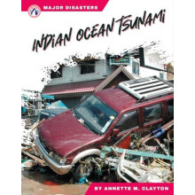 Indian Ocean Tsunami by Annette M. Clayton Hardcover Book