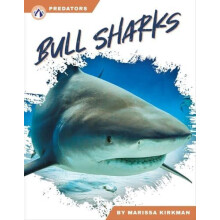 Bull Sharks by Marissa Kirkman Hardcover Book