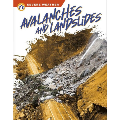 Avalanches and Landslides by K. S. Mitchell Hardcover Book