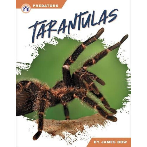 Tarantulas by James Bow Hardcover Book